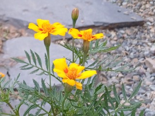 KakaoTalk_20251019_173629971.jpg