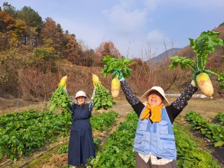 KakaoTalk_20260112_144521557_01.jpg