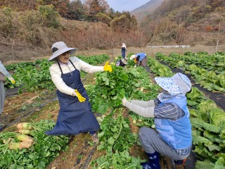 KakaoTalk_20260112_144521557_03.jpg
