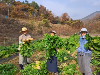 KakaoTalk_20260112_144521557_02.jpg