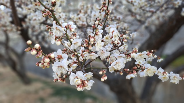 KakaoTalk_20260216_134356968_04.jpg